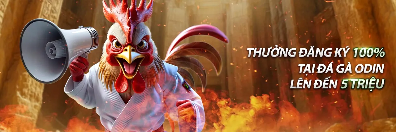 Hình ảnh đại diện cấp độ VIP và phúc lợi độc quyền ku888