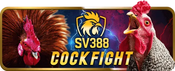 Trò chơi slot cổ điển tại ku888